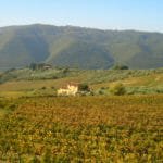 Agriturismo I Veroni – Pontassieve 