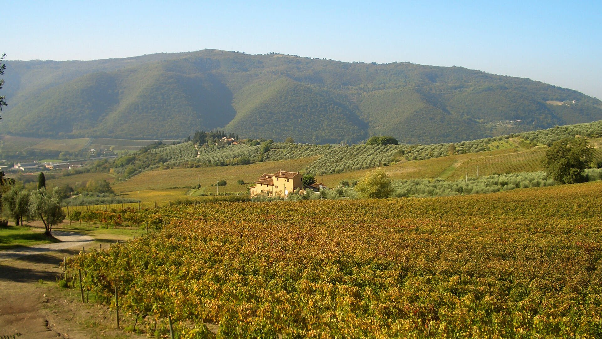 Agriturismo I Veroni – Pontassieve 