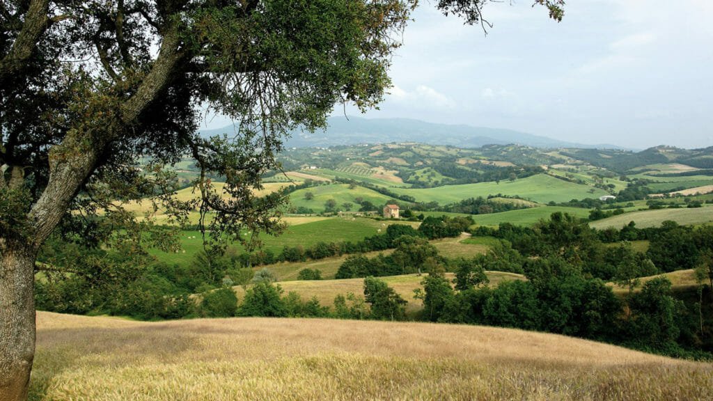 Agriturismo le Calle Toscana