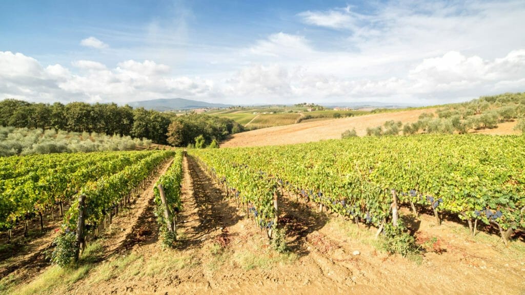 Agriturismo Il Poderino, Toscana