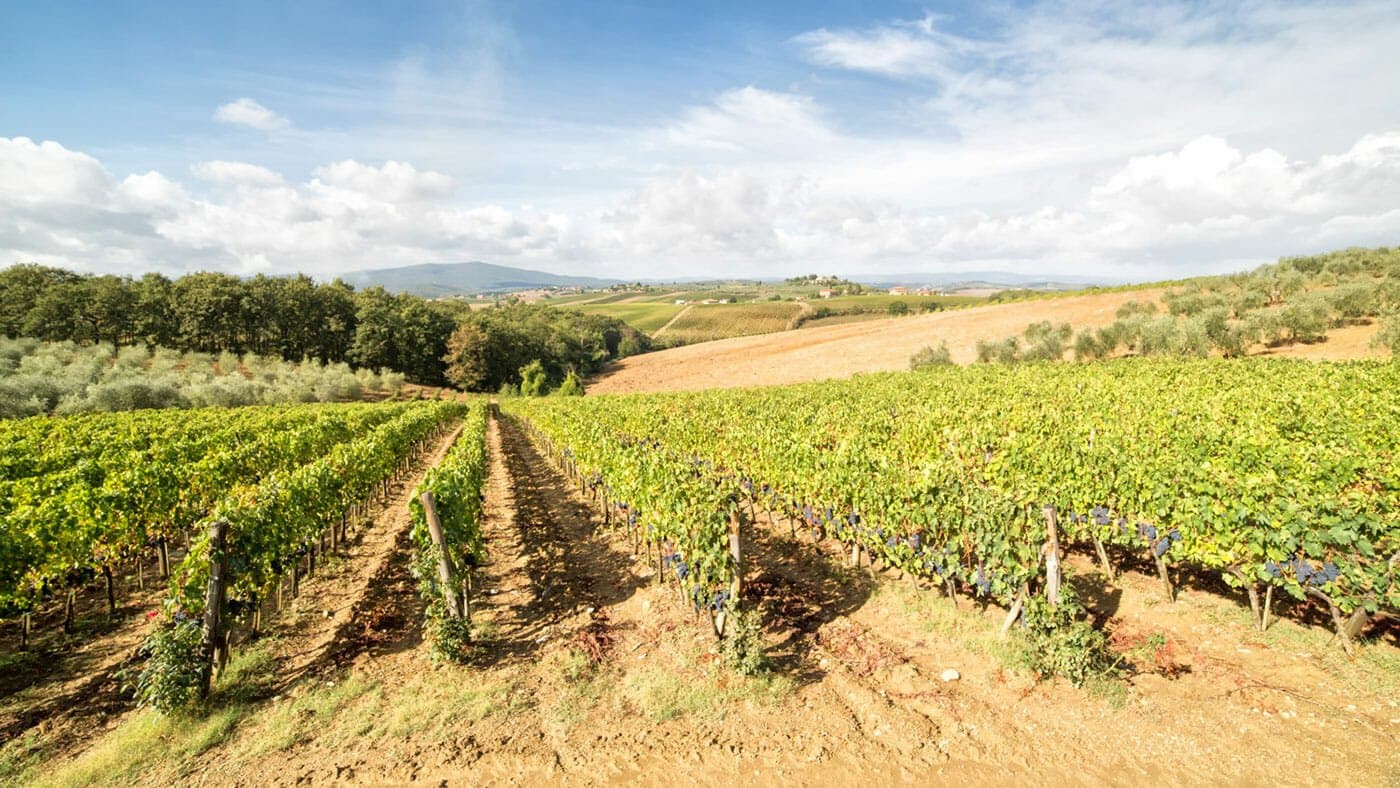 Agriturismo Il Poderino, Toscana