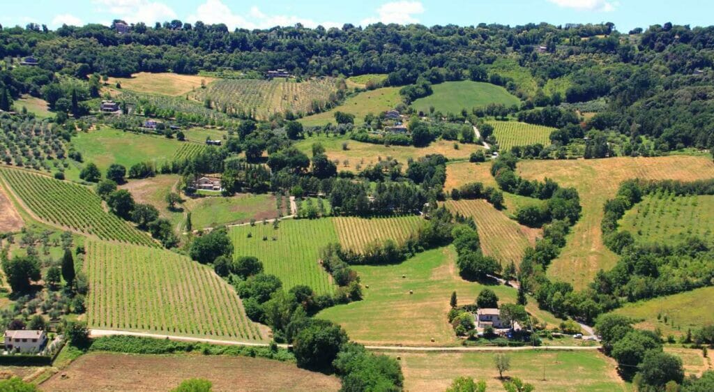 Rejser til Umbrien orvieto